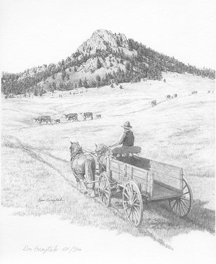 Ranch Life 310